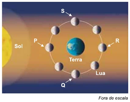 Figura da questão