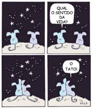 Figura da questão
