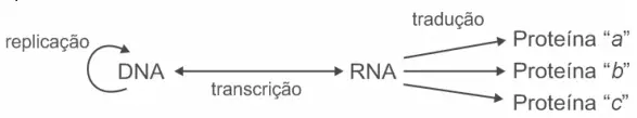 Figura da questão