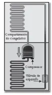 Figura da questão