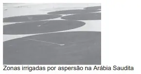 Alternativa D