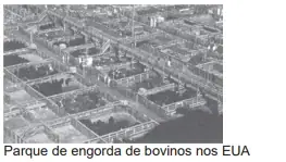 Alternativa C
