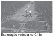 Alternativa A