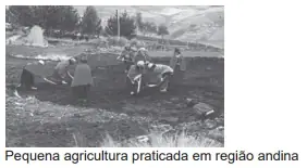 Alternativa B