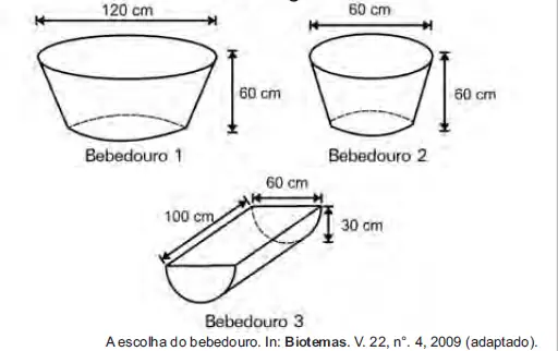 Figura da questão