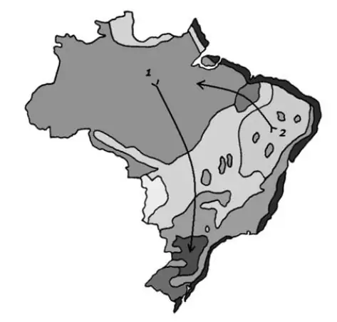 Figura da questão