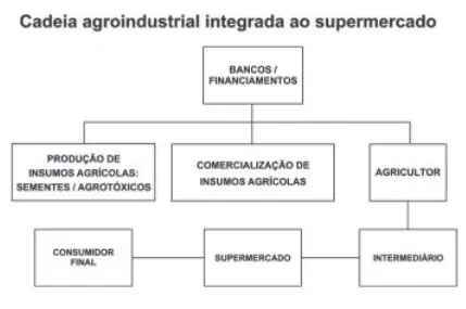 Figura da questão