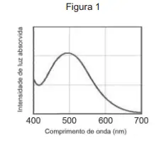 Figura da questão