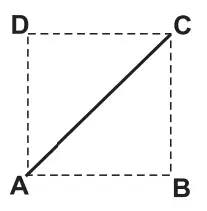 Alternativa C