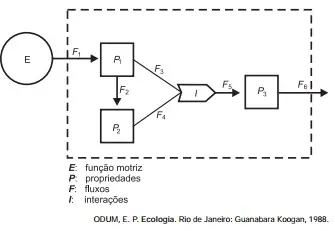 Figura da questão