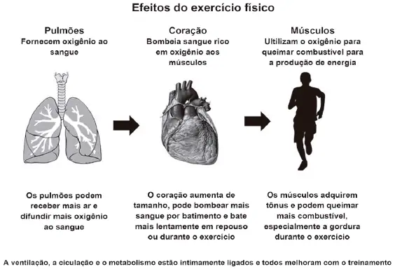 Figura da questão