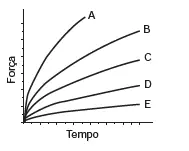 Alternativa C