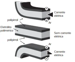 Figura da questão