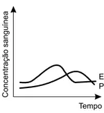 Alternativa C