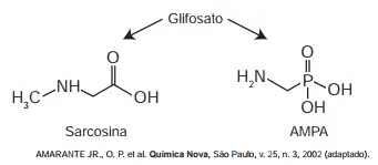 Figura da questão