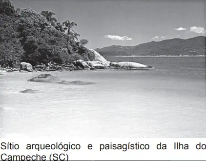 Alternativa E