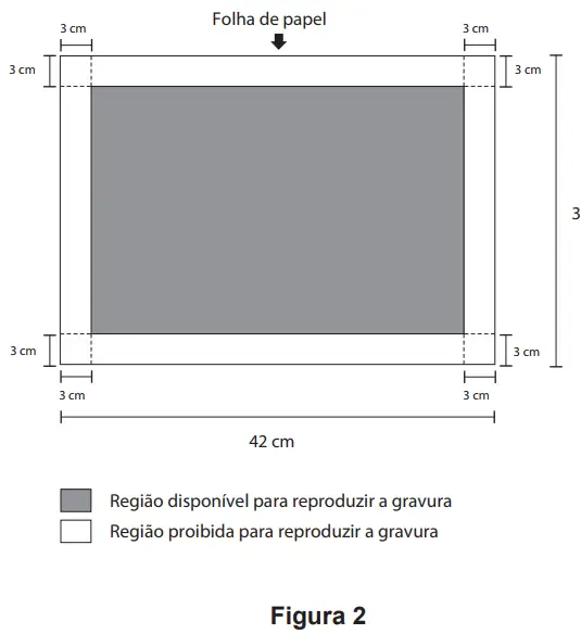 Figura da questão