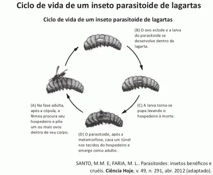 Figura da questão
