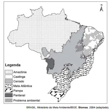 Figura da questão