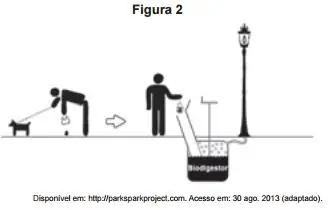Figura da questão