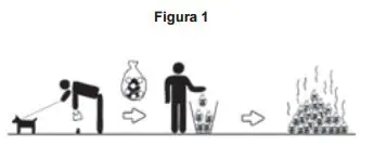 Figura da questão