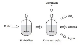 Figura da questão