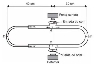Figura da questão