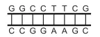 Alternativa A