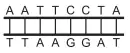 Alternativa C