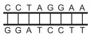 Alternativa E