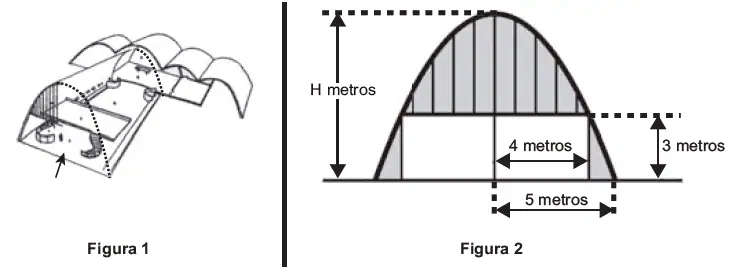 Figura da questão