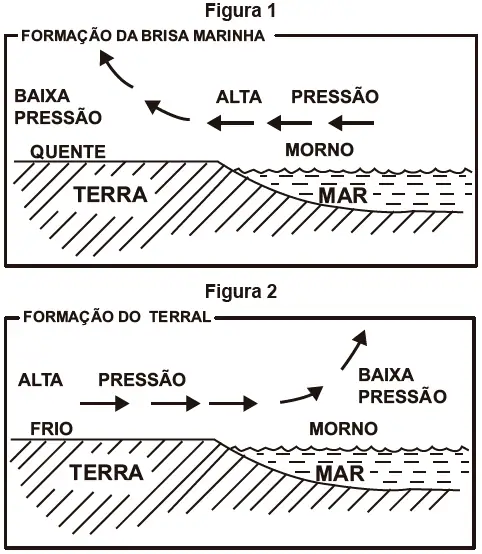 Figura da questão