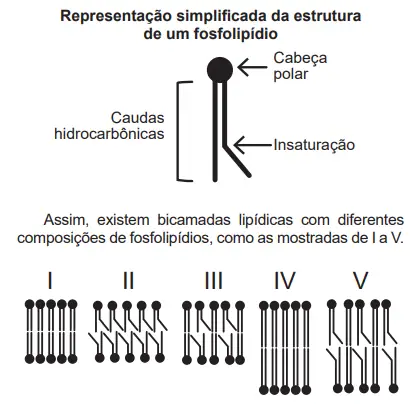 Figura da questão