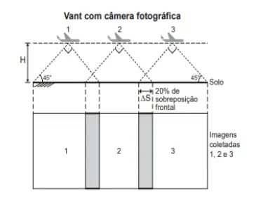 Figura da questão