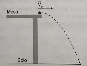 Alternativa D