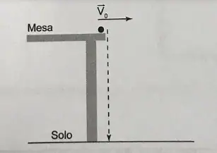 Alternativa C