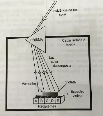 Figura da questão