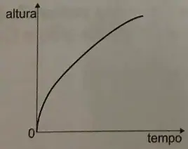Alternativa E