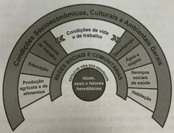 Figura da questão