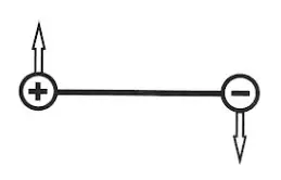 Alternativa D