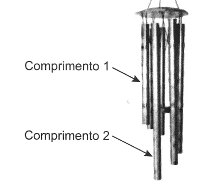 Figura da questão