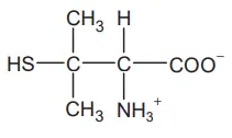 Alternativa C