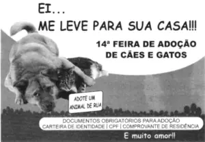 Figura da questão