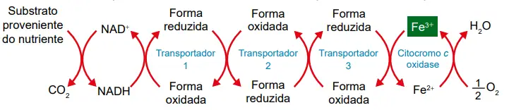 Figura da questão