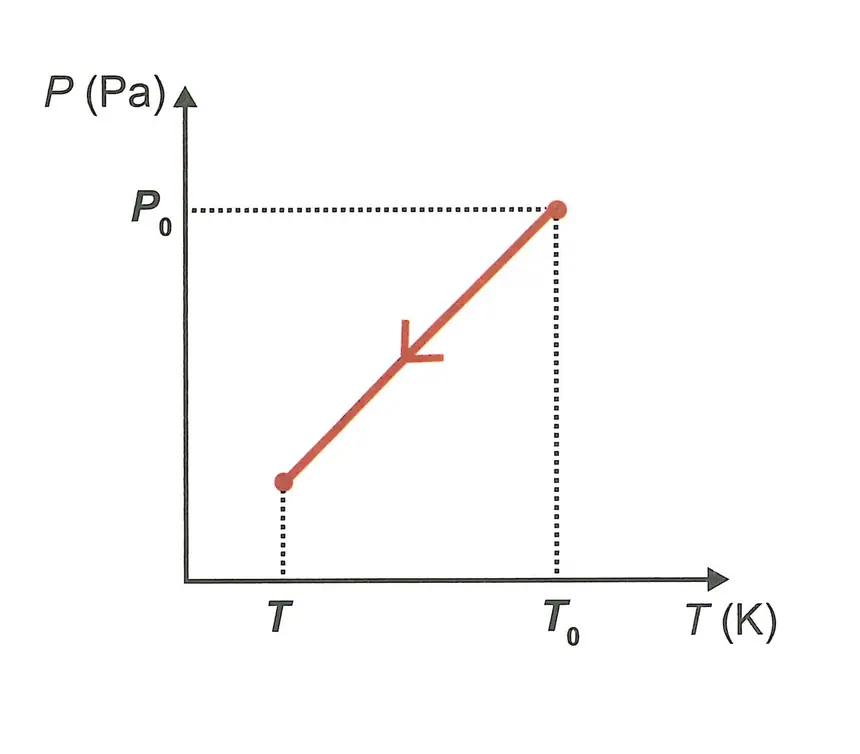 Alternativa E