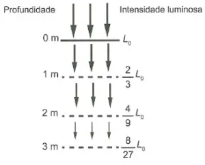 Figura da questão