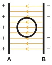 Alternativa B