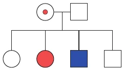 Alternativa A