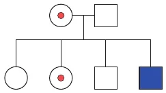 Alternativa B
