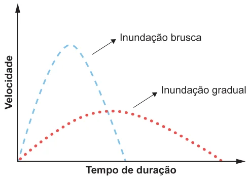 Figura da questão